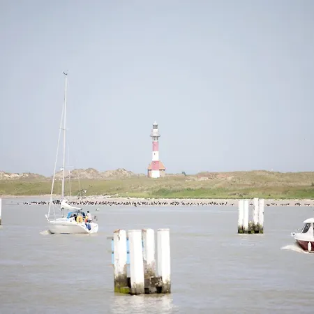 公寓 Apartment In Nieuwpoort Near The Beach, Cleaning Included *